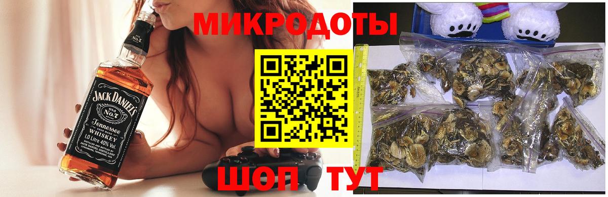 магазин продажи наркотиков  Псилоцибиновые грибы мицелий  Россошь  Вход с VPN  Псилоцибиновые грибы прущие грибы 